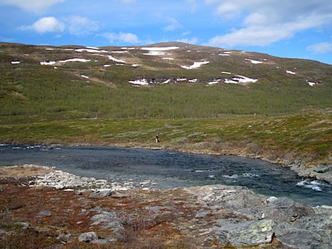 Abisko Juni 2009 dag 4 - 36.jpg